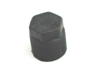 Honda 80865-SZN-A11 Cap, Valve (H)