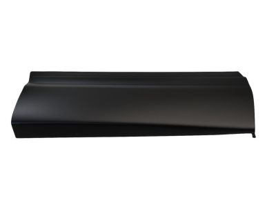 2022 Honda CR-V Hybrid Door Moldings - 75313-TLC-A01