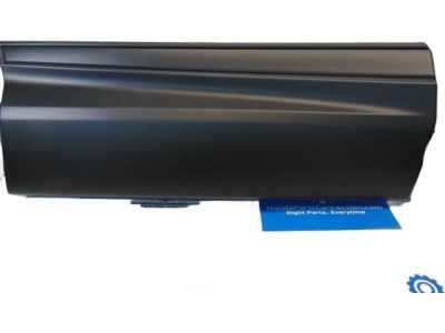 2022 Honda CR-V Hybrid Door Moldings - 75313-TLC-A01