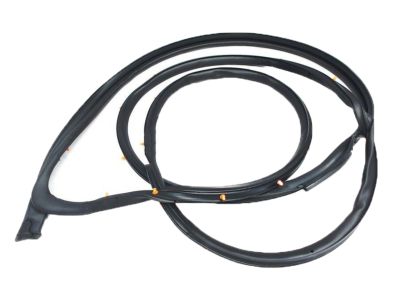 Honda Odyssey Weather Strip - 72365-SHJ-A01