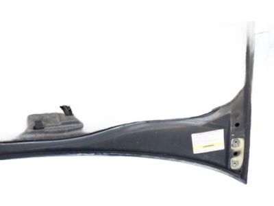 Honda Odyssey Hood - 60100-S0X-A90ZZ