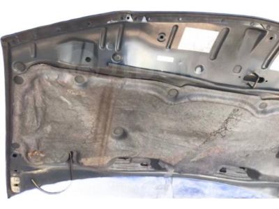 Honda Odyssey Hood - 60100-S0X-A90ZZ