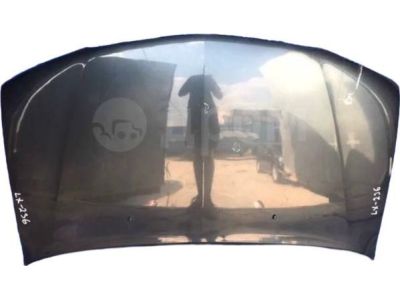 Honda Odyssey Hood - 60100-S0X-A90ZZ