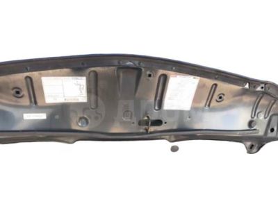 Honda Odyssey Hood - 60100-S0X-A90ZZ