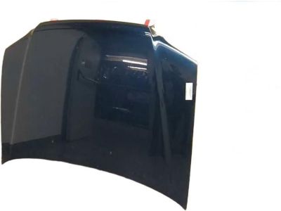 Honda 60100-S10-A92ZZ