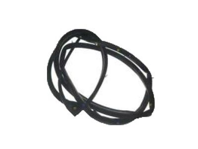 Honda Element Weather Strip - 72355-SCV-A01ZA