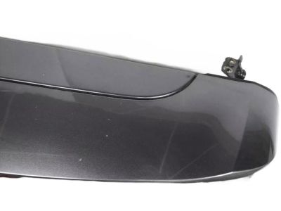 Honda 68100-TG7-A30ZZ