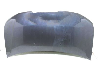 Honda 60100-TK8-A90ZZ Hood, Engine (DOT)