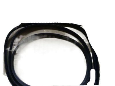 2010 Honda Fit Weather Strip - 73225-TF0-000