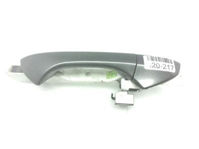 2008 Honda Accord Door Handle - 72141-TA5-A01ZF