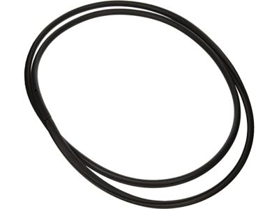 Honda Ridgeline Weather Strip - 70205-SHJ-A41