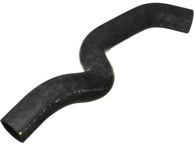 Honda Accord Radiator Hose - 19502-5A2-A01