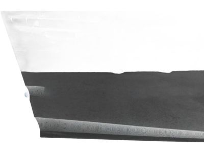 2018 Honda Civic Door Panel - 67010-TBA-A00ZZ