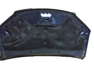 Honda Passport Hood - 60100-TG7-A90ZZ