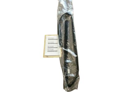 72275-S03-003 - Genuine Honda Left Front Door Run Channel