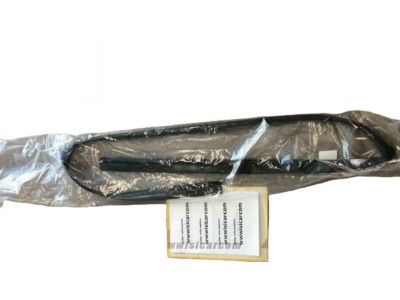 72275-S03-003 - Genuine Honda Left Front Door Run Channel