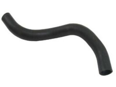 2000 Honda Accord Radiator Hose - 19501-P8C-A00