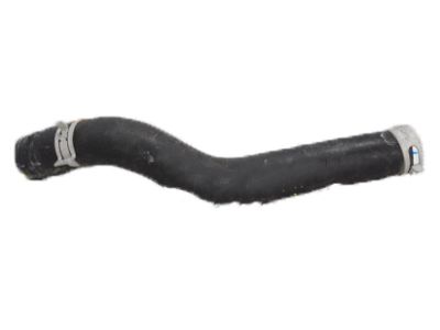 2020 Honda Accord Hybrid Radiator Hose - 19501-6C1-A01