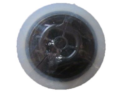 Honda 91612-TA0-003 Plug, Floor Hole (25MM)