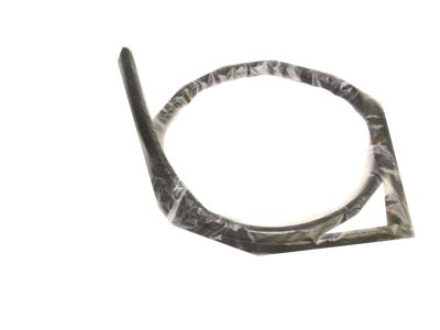 Honda Weather Strip - 72365-S03-G01