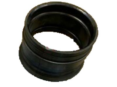 Honda 17255-RJE-A00 Rubber, In. Seal