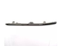 Honda 71118-TVA-F10 MOLDING, L- GRILLE