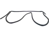 Honda 72810-TR3-A01 Weatherstrip, R. RR. Door