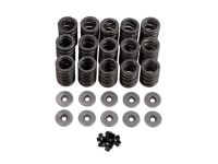 Honda 14762-RAA-A01 Spring, Exhuast Valve (Pink) (Associated Spring) Honda 14762-RAA-A01 Spring, Exhuast Valve (Pink) (Associated Spring)