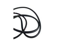 Honda 72350-3A0-A01 WEATHERSTRIP, L- FR