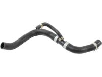 Honda 19502-5MR-A00 Hose, Water (Lower)
