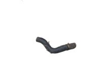 Honda 19504-RMX-000 Hose B, Water (Lower) Honda 19504-RMX-000 Hose B, Water (Lower)