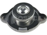 Honda 19045-PT0-003 Cap (Denso)