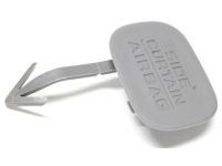 Honda 84102-TG7-A01ZA Cap, R. FR. Pillar *YR507L* (SHADOW BEIGE)
