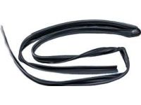 Honda 72275-TK8-A01 Channel, Left Front Door Run Honda 72275-TK8-A01 Channel, Left Front Door Run