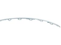 Honda 71117-TVA-F00 MLDG, GRILLE (LOWER) Honda 71117-TVA-F00 MLDG, GRILLE (LOWER)