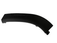 Honda 08P21-TGS-10008 FENDER FLARE ASSY., L. RR. FENDER