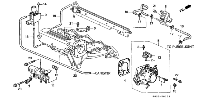 1999 Honda Civic Hose, Purge Diagram for 36169-P30-A00