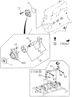 1995 Honda Passport Gear Set, Oil Pump Diagram for 8-94225-801-0