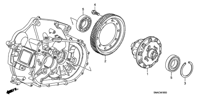 2010 Honda Civic MT Differential (2.0L) Diagram