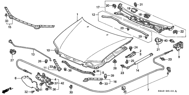 1999 Honda Accord 4 Door LXV6 KA 4AT Engine Hood Diagram