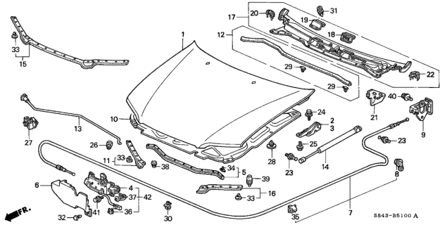 1999 Honda Accord Engine Hood Diagram