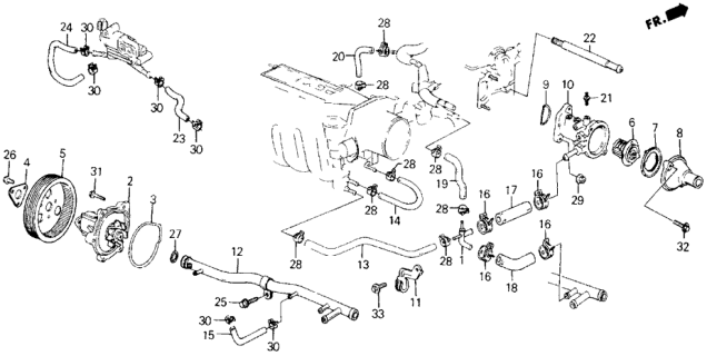 1989 Honda Accord Water Pump (PGM-FI) Diagram