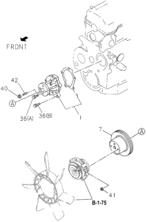 1995 Honda Passport Water Pump (DX) Diagram