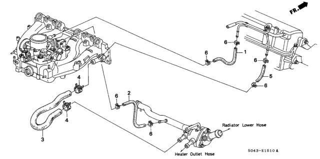 1996 Honda Civic 4 Door LX (A/C) KL 5MT Water Hose Diagram