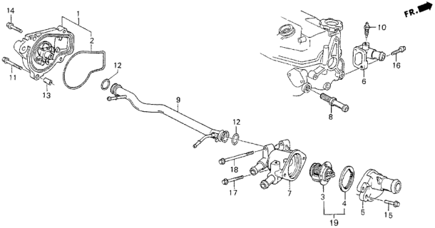 1991 Honda CRX Water Pump Diagram