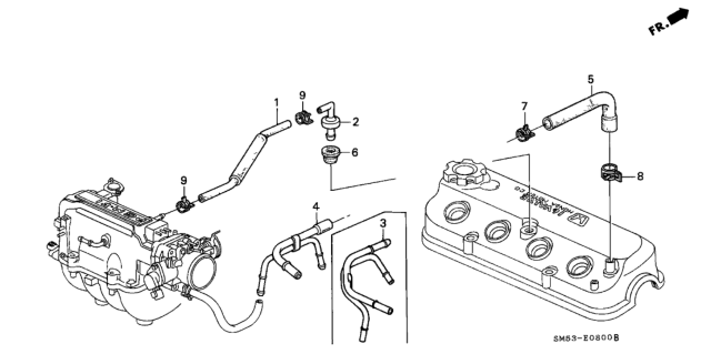 1991 Honda Accord Breather Tube Diagram