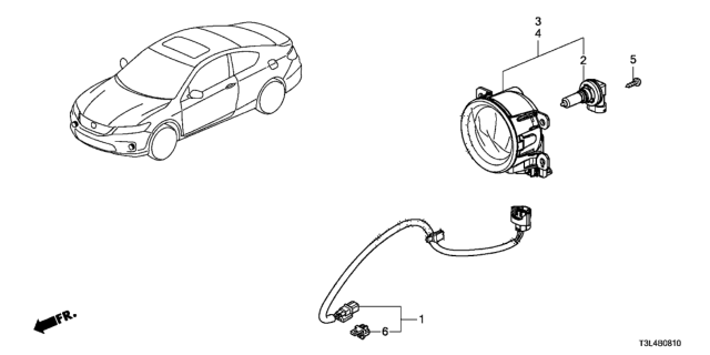 2013 Honda Accord Foglight Diagram