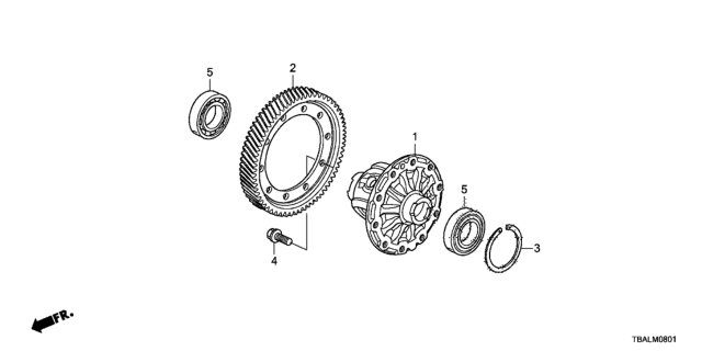 2020 Honda Civic MT Differential Diagram