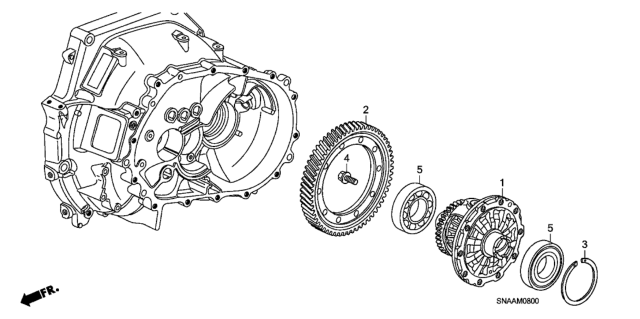 2009 Honda Civic MT Differential (1.8L) Diagram