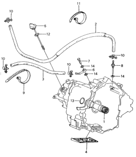 1982 Honda Civic Hose, Oil Cooler (780) (Meiji) Diagram for 25213-PA6-911